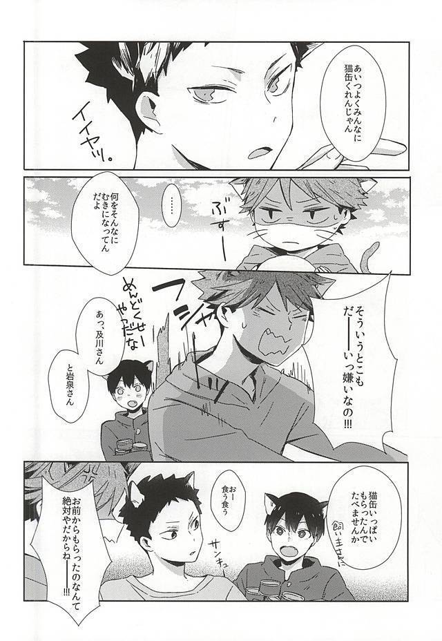 Neko ni Natta Oikawa-san