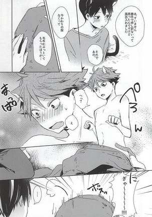 Neko ni Natta Oikawa-san Page #16