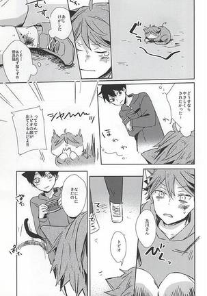 Neko ni Natta Oikawa-san Page #12