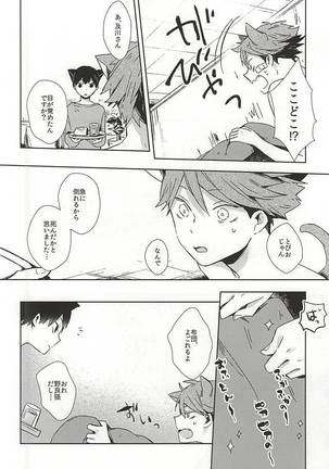 Neko ni Natta Oikawa-san Page #15