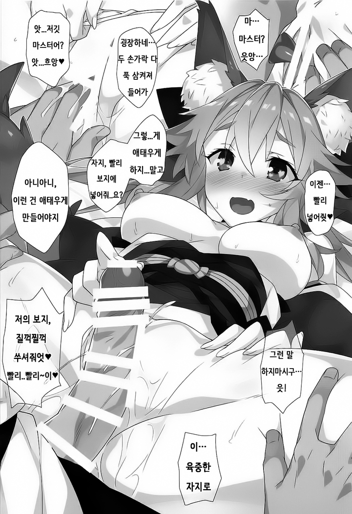 Hanamizake / 꽃구경 술
