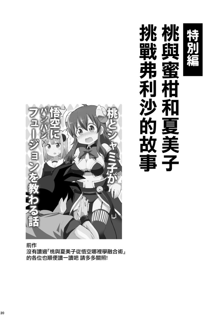 Wareme Mienai Shashin Senshuken 2