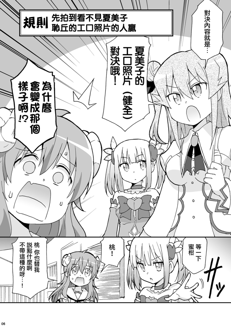 Wareme Mienai Shashin Senshuken 2