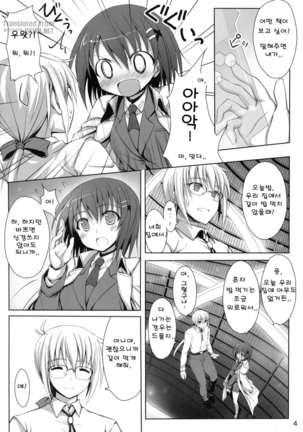 さすがはやてさんきたない。 Page #4