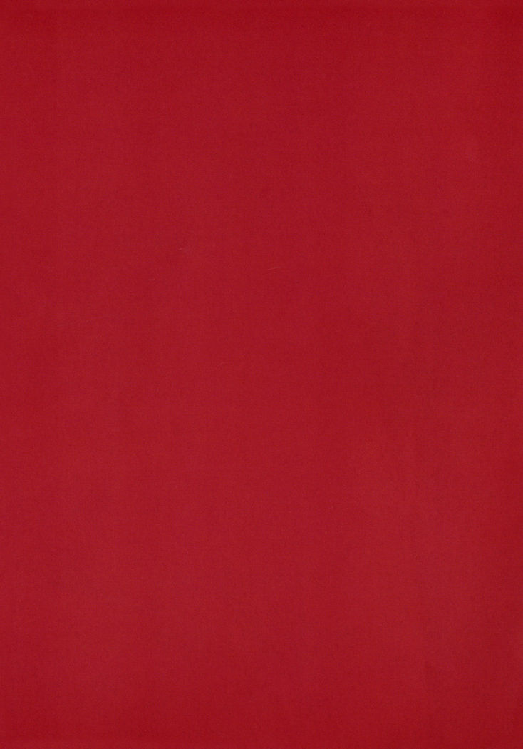 THE BOOK OF RIKO