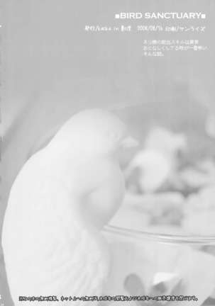 bird sanctuary Page #34
