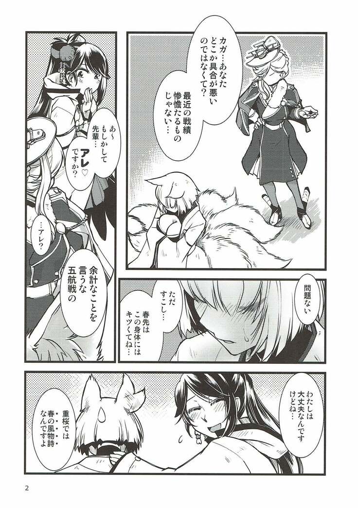 Shippori