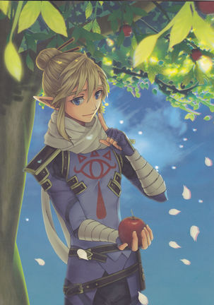 βLupi (The Legend of Zelda] Page #20