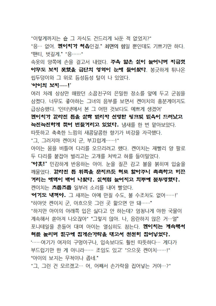 최면개조 소설