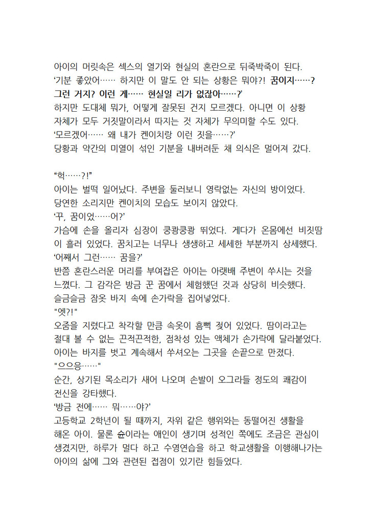 최면개조 소설