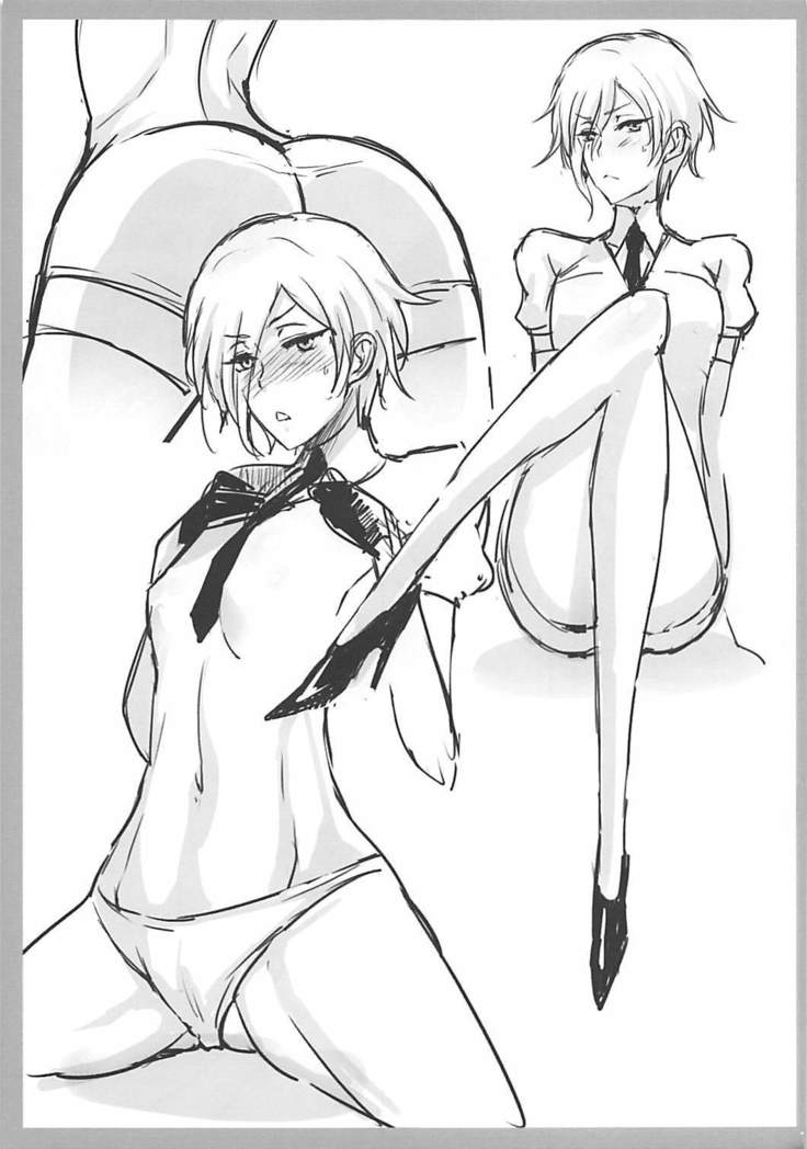 Diamama Borchu Otameshiban