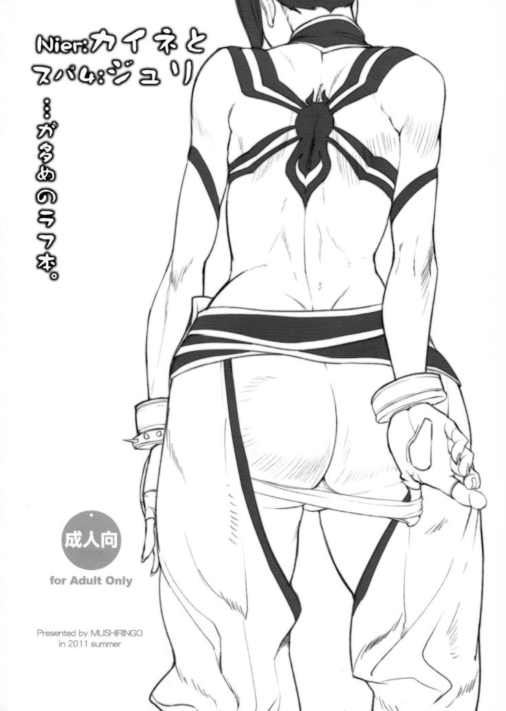 Nier: Kaine to Super 4: Juri ga Oume no Rough Hon