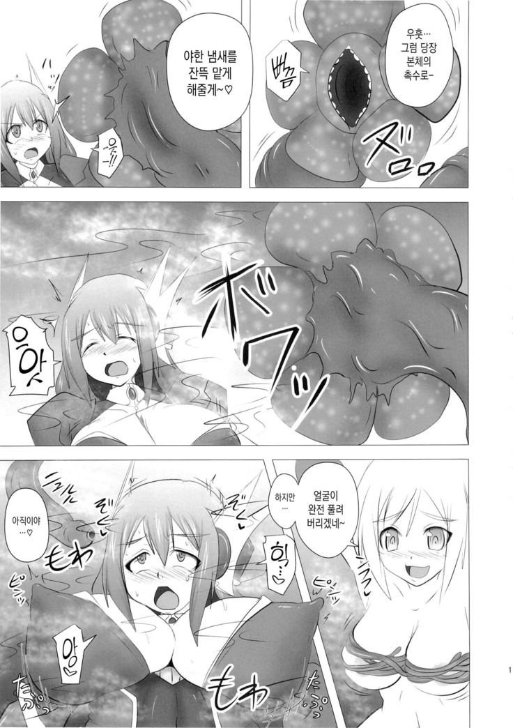 Shield Knight Elsain Vol. 16 Mushibami no Inshuu Hana