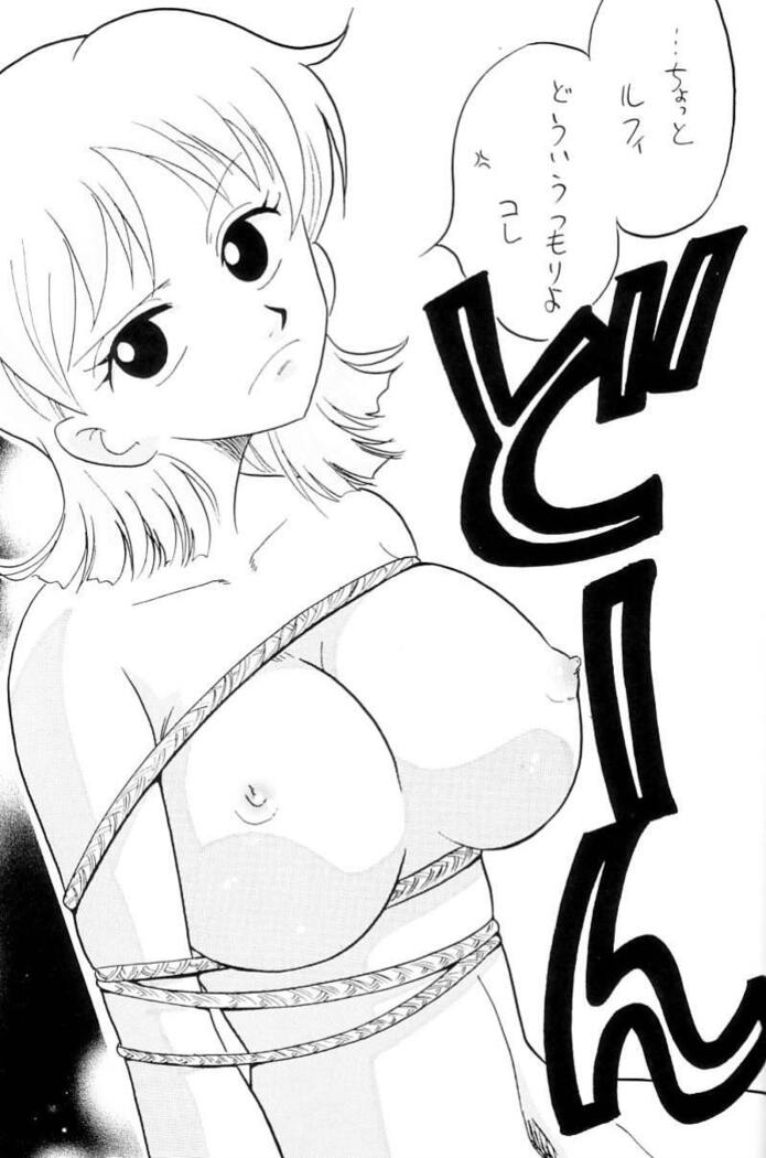 Zokuzoku Koukai Nisshi