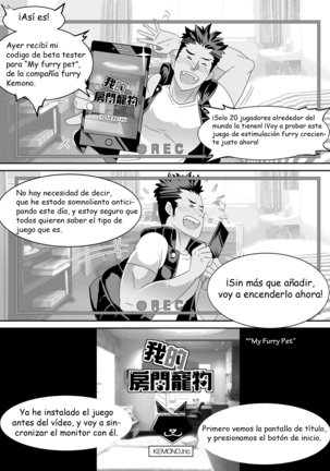 Image 4518114