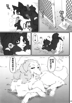 Image 14316324