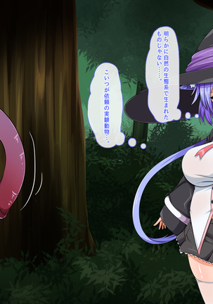 Mahoushi Teria to Kiken na Iraisho Page #20