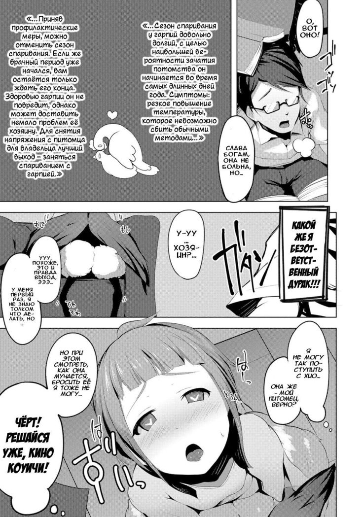 Harpy to Issho