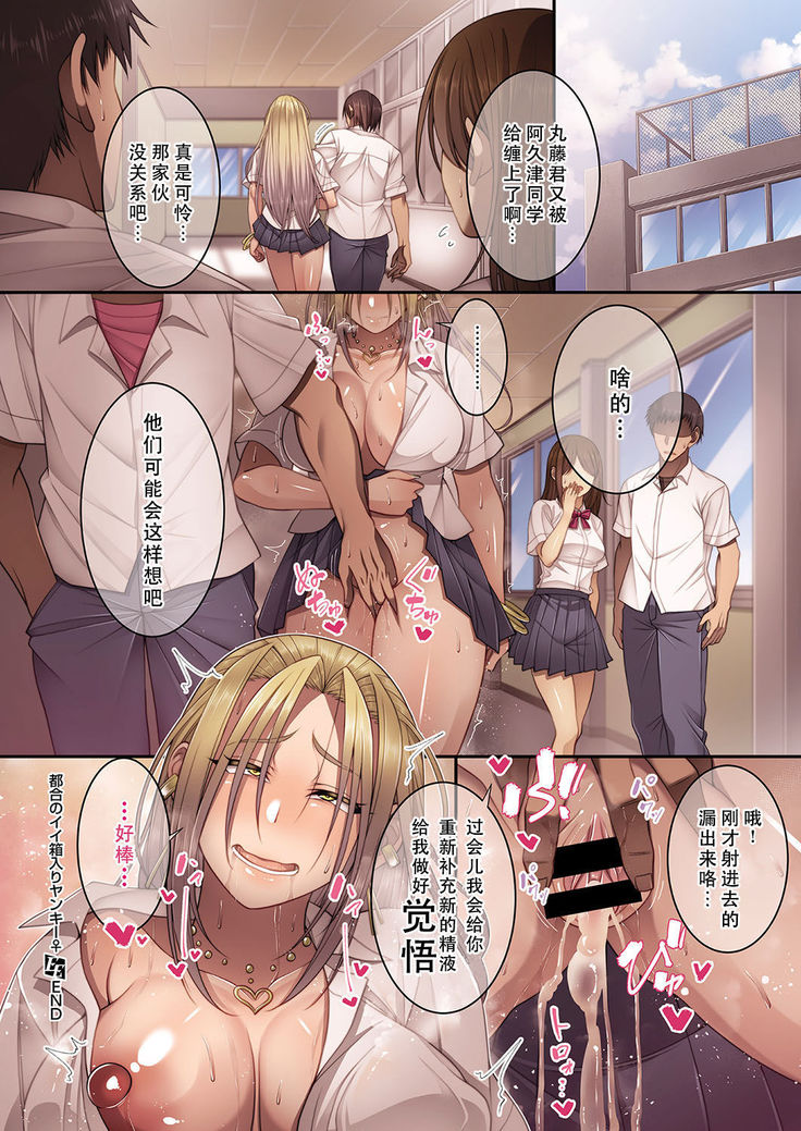 Tsugou no Ii Hakoiri Yankee