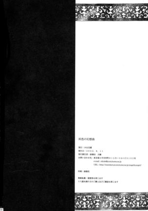 Daisanwa Haiiro no Gensoukyoku Page #25