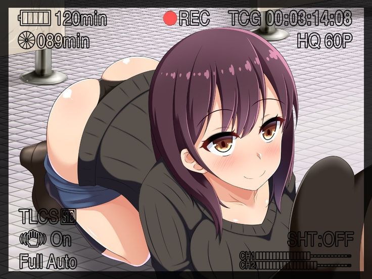 Netoraseteita Tsuma ga Hontou ni Netorareru made ~Netorase Hen~ | 被我命令去NTR的妻子 真的被NTR —NTR篇