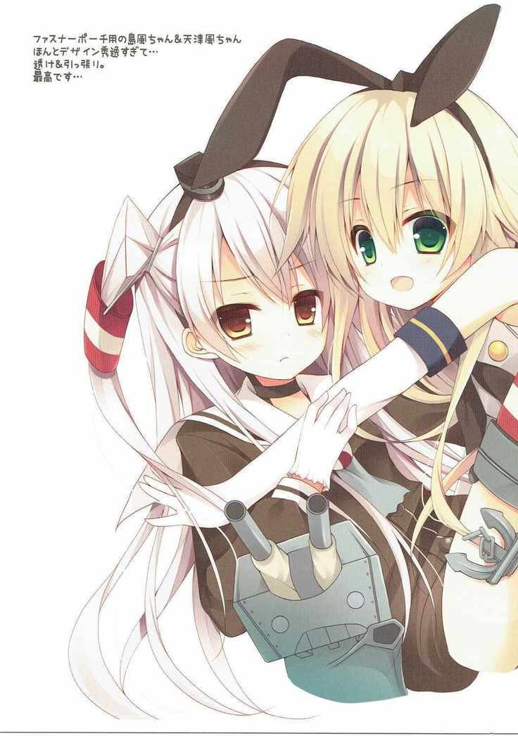 提督！艦娘コレクションみたいですよ？