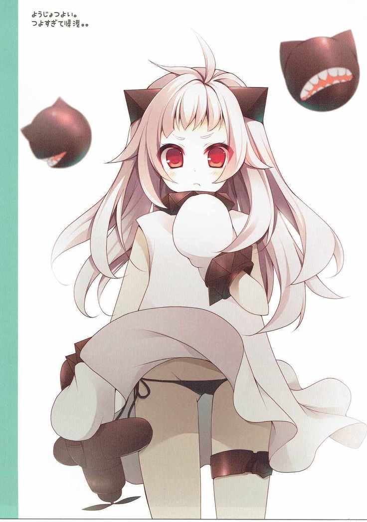 提督！艦娘コレクションみたいですよ？