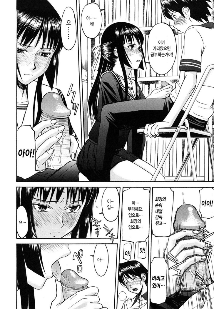 Itazura Senyou Hanahira Seitokaichou