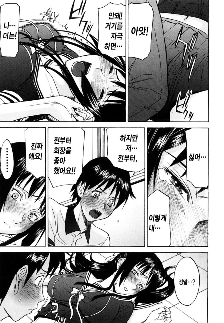 Itazura Senyou Hanahira Seitokaichou