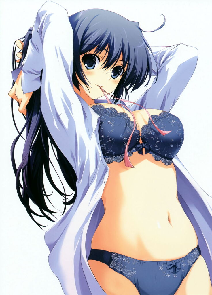 Tomose Shunsaku Jisen Illust Shuu