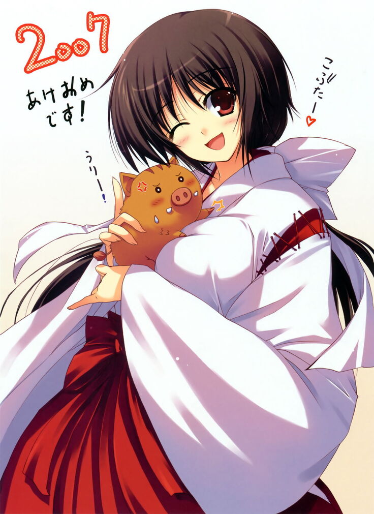 Tomose Shunsaku Jisen Illust Shuu