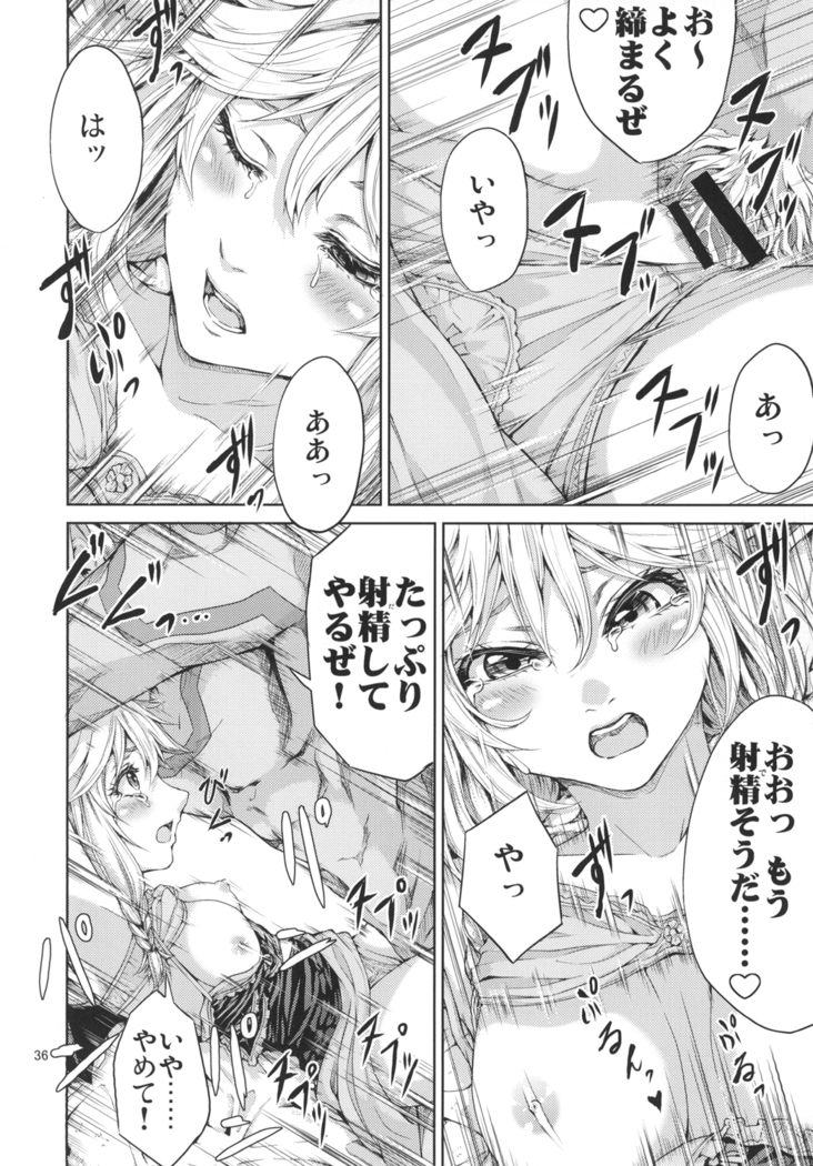 Elko Hokaku Sakusen