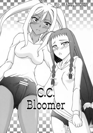 C.C.Bloomer Page #2