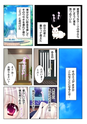 Image 3752867