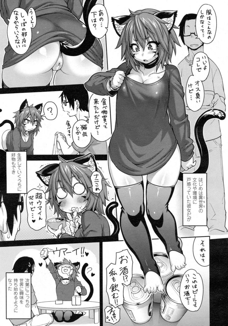 Kemonommusume communication ~ Nekomusume near ~