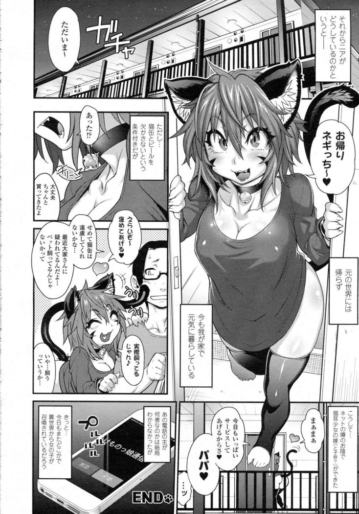 Kemonommusume communication ~ Nekomusume near ~