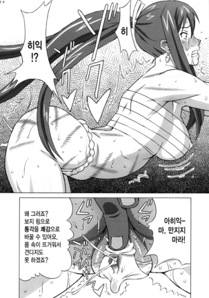 Erza-san wo Choukyou Shite mita. Page #25