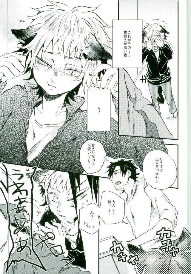 ウソツキネコ