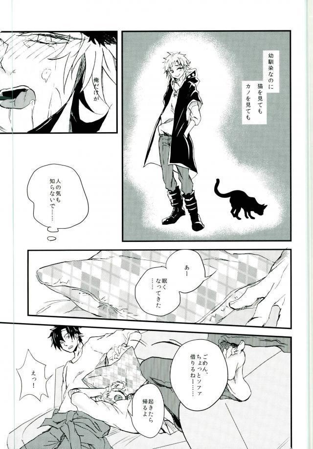 ウソツキネコ