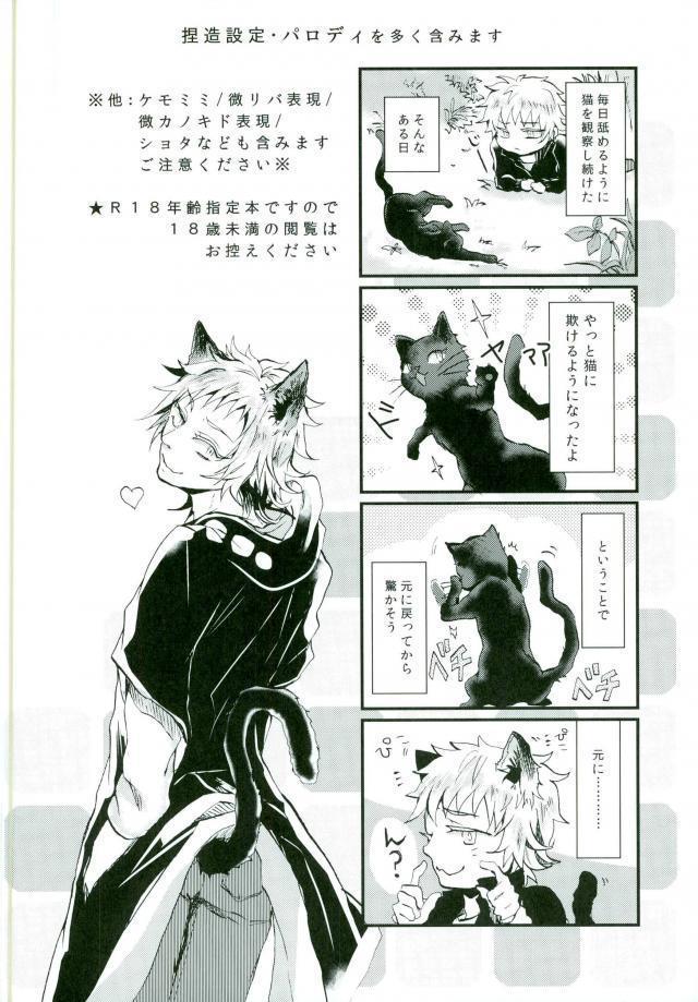 ウソツキネコ