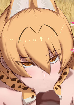 Kemono Friends to Sex Friends ~Hajimete no Deai~ Page #15