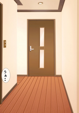 隣の新婚ホヤホヤの若妻を催眠で夫と思わせ種付けする話 Page #95