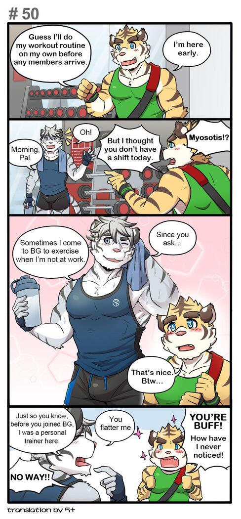 Gym Pals