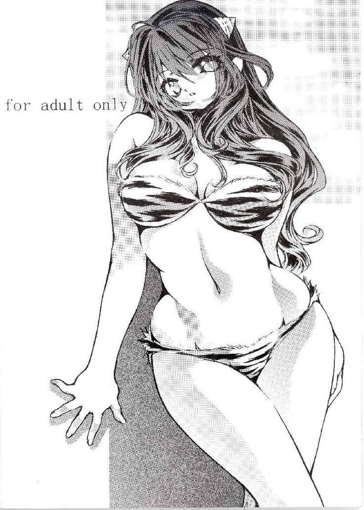NDL 4 Tsuide