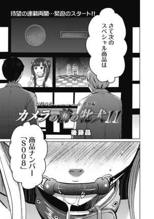 Camera no Mae no Mesu Inu Page #212