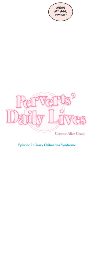 Perverts' Daily Lives Episode 2: Crazy Chihuahua Syndrome