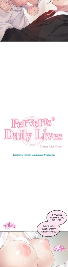 Perverts' Daily Lives Episode 2: Crazy Chihuahua Syndrome