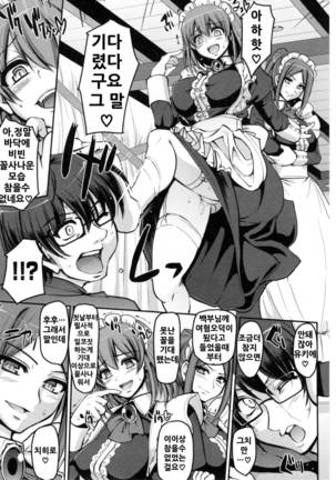 Seiippai Gohoushi Maid Ch.1 Page #15