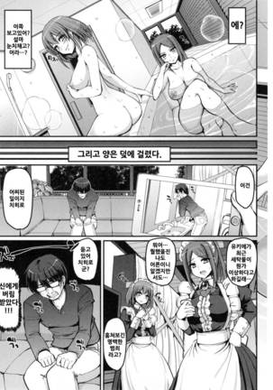 Seiippai Gohoushi Maid Ch.1 Page #13