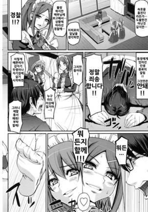 Seiippai Gohoushi Maid Ch.1 Page #14